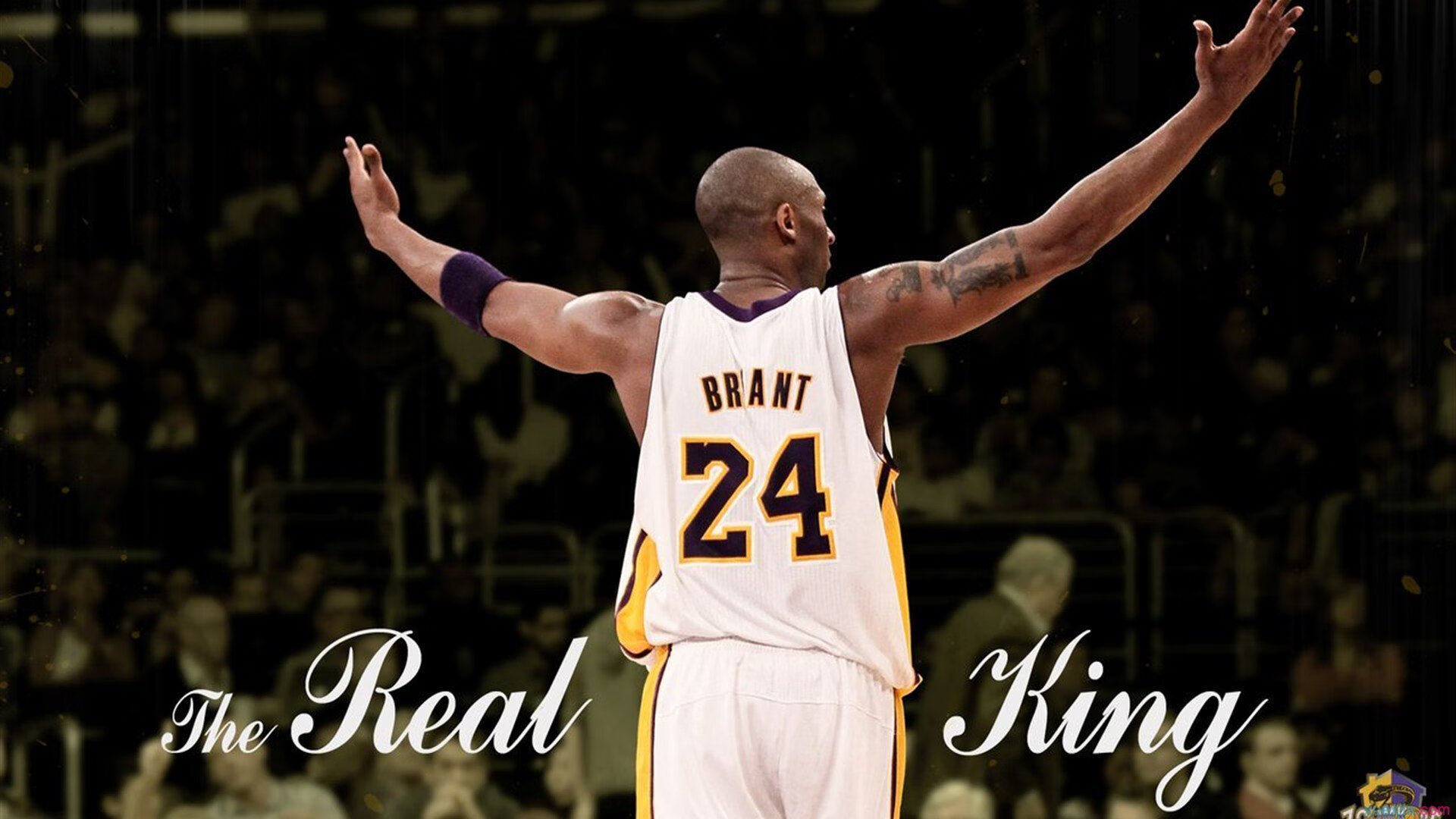 不同位置球员在节奏变化中的角色变化，球队球员位置